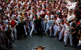 Hình ảnh huy hoàng tại Lễ hội đấu bò tót truyền thống Tây Ban Nha