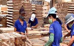 Nhiều thị trường xuất khẩu gỗ có dấu hiệu phục hồi