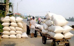 Trung Quốc tăng mua gạo tiểu ngạch 