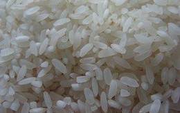 Philippines sẽ bán đấu giá số gạo nhập lậu