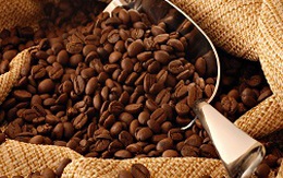 Thành lập ban điều phối ngành cà phê