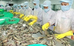 Cẩn trọng với thông tin Thái Lan nhập khẩu tôm Việt Nam