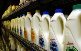 New Zealand thu hồi sản phẩm sữa trên toàn cầu