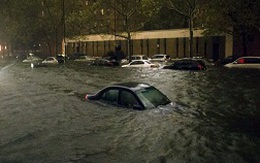 Mua ôtô nhập Mỹ dễ dính xe ngập nước vì bão Sandy