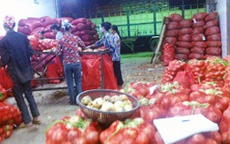 Nông sản Trung Quốc ngập chợ Việt