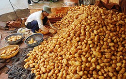 Nông sản Trung Quốc ngập chợ Việt: Bảo hộ nông sản bằng hàng rào kỹ thuật