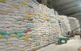 Lo cho xuất khẩu gạo cuối năm