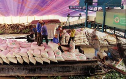 Huỷ hợp đồng gần 1 triệu tấn gạo: Không thể xem là “chuyện thường ngày”