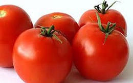 Cà chua Đà Lạt tăng giá gấp đôi