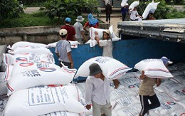 Gạo xuất khẩu liên tục giảm giá
