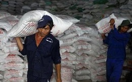 Đảm bảo tối đa 150 đầu mối kinh doanh xuất khẩu gạo