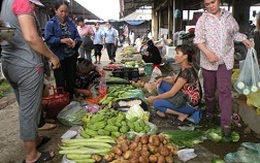 Thực phẩm, rau xanh lại tăng giá