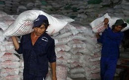 Xây dựng thương hiệu cho gạo xuất khẩu Việt Nam