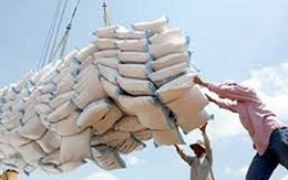 Bộ Công Thương lý giải quy hoạch 150 đầu mối xuất khẩu gạo