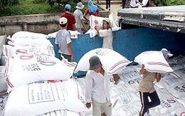 Giảm chỉ tiêu xuất khẩu gạo năm 2013