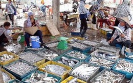 Các mặt hàng thủy hải sản tăng giá, nguồn cung giảm