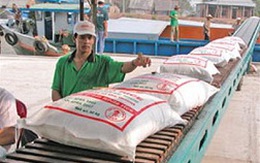Xuất khẩu gạo: Hướng đến con số 7 triệu tấn