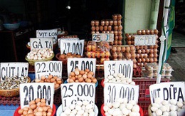 Vì sao giá trứng gia cầm ở chợ gấp đôi ở trại