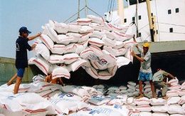 Châu Phi tiêu thụ gần 70% gạo xuất khẩu của VN trong nửa đầu tháng 9