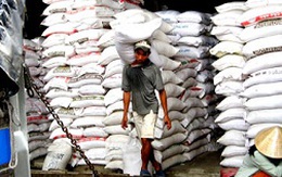 Gạo: Mất trắng thị trường truyền thống