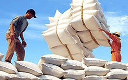 Đã xuất khẩu 5,34 triệu tấn gạo