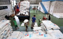 120.000 tấn gạo bán cho Philippines: Liệu có “xuôi chèo”?