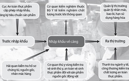 Thả nổi sữa ký