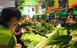 Chỉ gần 30% rau ở Hà Nội là rau an toàn