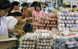 Giá trứng gia cầm, gà công nghiệp giảm sâu
