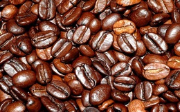 Ngành cà phê cần “chiếc ghế ICO”