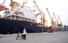 Vụ “mất tiền tỉ vì hàng bị giam ở cảng”: Đẩy khó cho doanh nghiệp