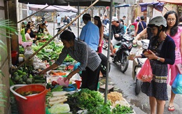Người Hà Nội tích trữ thực phẩm phòng tránh bão