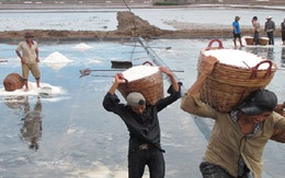 Nghịch lý hạt muối Việt Nam: Doanh nghiệp nội chê, nước ngoài tìm nhập