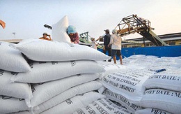 Việt Nam trúng thầu cung cấp 500.000 tấn gạo cho Philippines