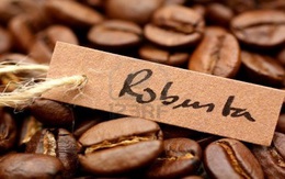 Cà phê có chứng nhận bền vững khó bán