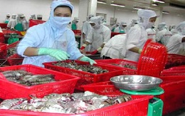 10 sự kiện nổi bật của xuất khẩu thủy sản Việt Nam năm 2013