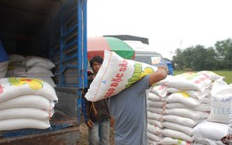 Xuất khẩu gạo sang Trung Quốc sôi động trở lại