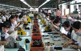 Xuất khẩu da giầy, túi xách Việt Nam đạt trên 10 tỷ USD
