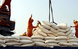 Giá gạo xuất khẩu lẫn nội địa tăng nhẹ