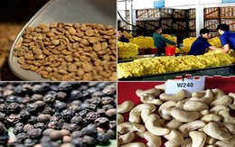 Việt Nam có thể thành lập các ban điều phối nông sản
