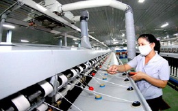 Thêm một loại sợi xuất khẩu của Việt Nam bị kiện