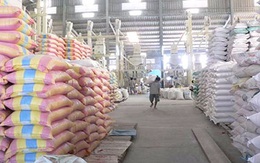 Giá lúa vẫn thấp sau khi mua tạm trữ 130.000 tấn gạo