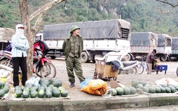 Dưa hấu dồn ứ ở Tân Thanh: Đề nghị Trung Quốc mở thêm cửa khẩu