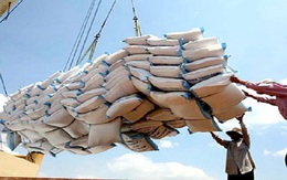 Philippines mở thầu mua 800.000 tấn gạo: Chưa hẳn là cơ hội cho gạo Việt