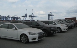 19 chiếc xe ô tô cao cấp tồn đọng tại cảng Cái Mép
