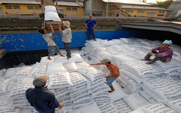 Xuất khẩu gạo của Việt Nam sang Trung Quốc đang tăng