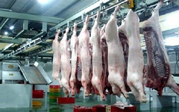 Lò mổ ngưng hoạt động, thịt heo ở Đà Lạt trở nên khan hiếm