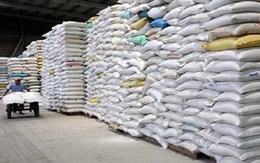 Có thể bỏ giá sàn xuất khẩu gạo