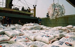 Từ bán rẻ-mua rẻ tới bỏ giá sàn xuất khẩu gạo