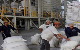 Cần Thơ kiến nghị Chính phủ cho mua thóc tạm trữ thay gạo